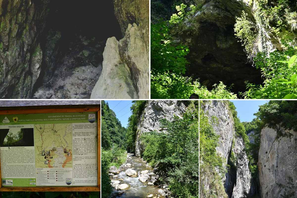 Pestera Ursilor | Die Höhle des Bären | Landkreis Valcea